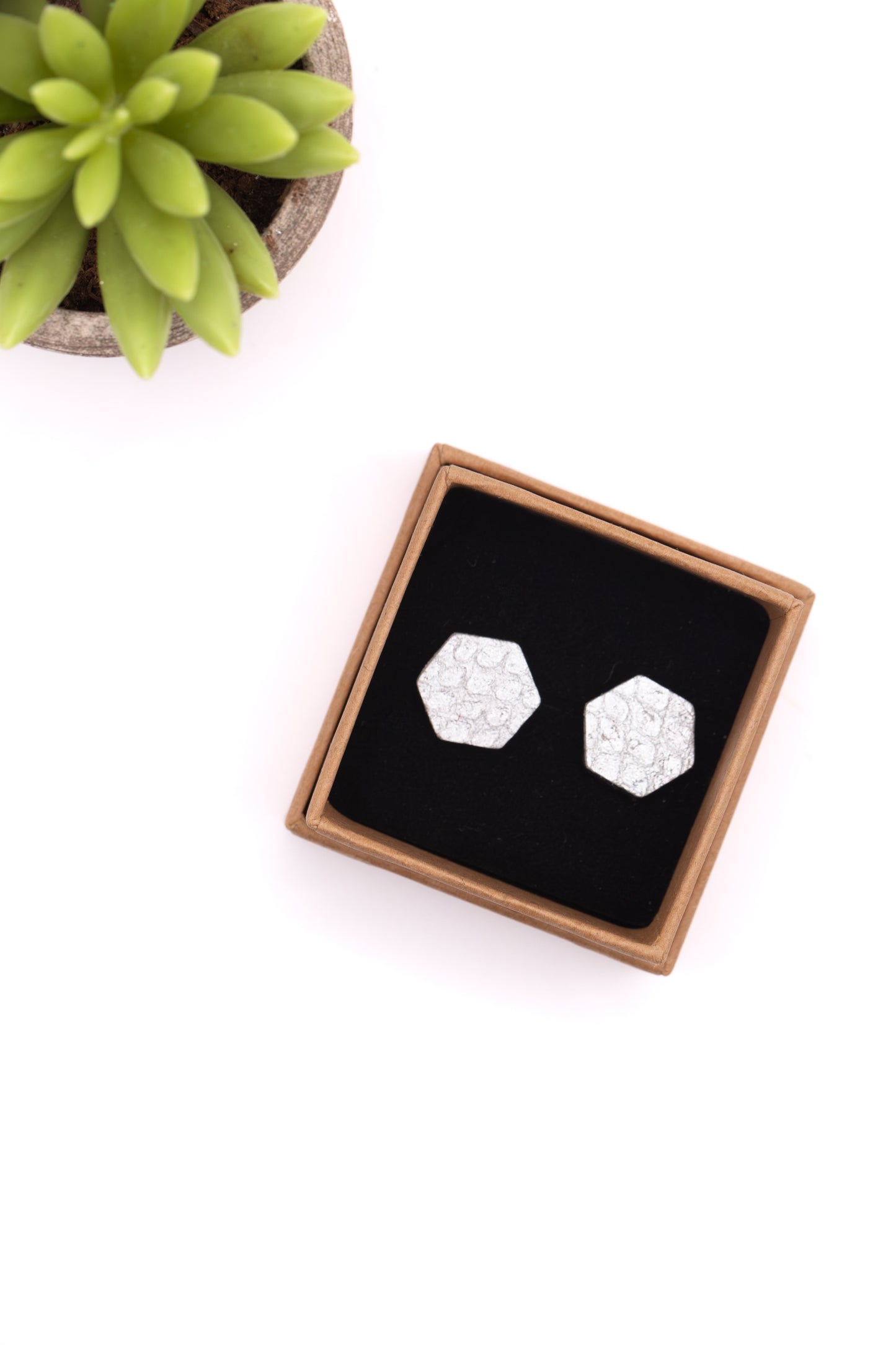 Hexagonal earrings in a box with a plant in the background
