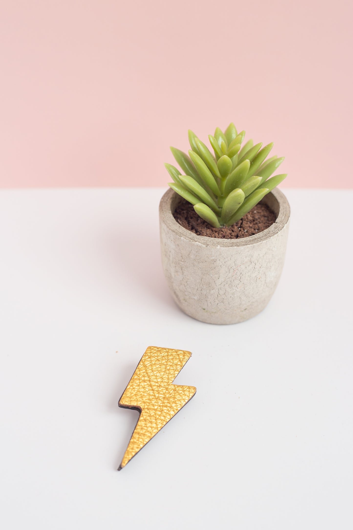Small potted succulent plant on a white surface with a gold lightning brooch and a pink background.