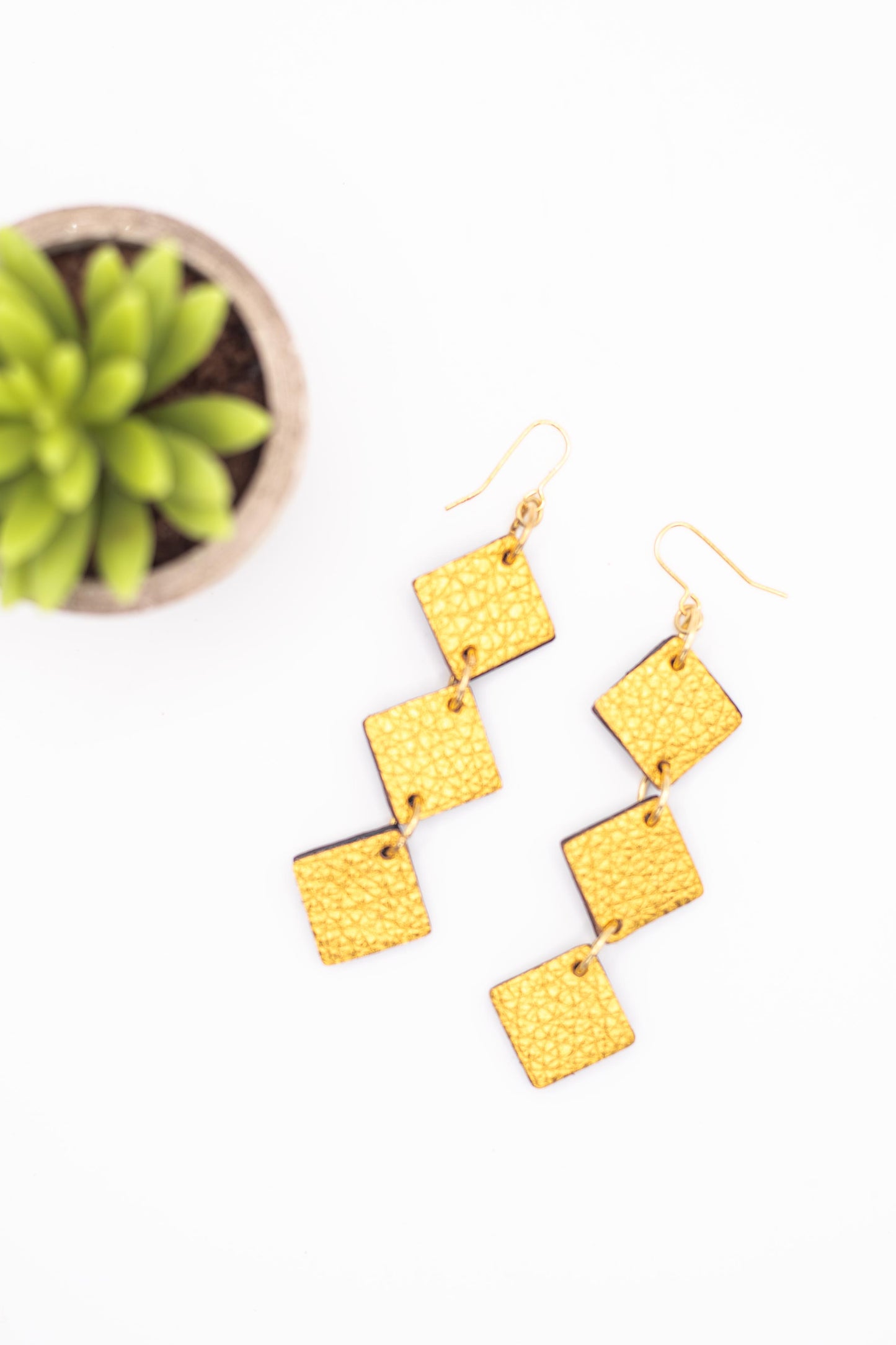 Gold square earrings on a white background with a plant in the corner.