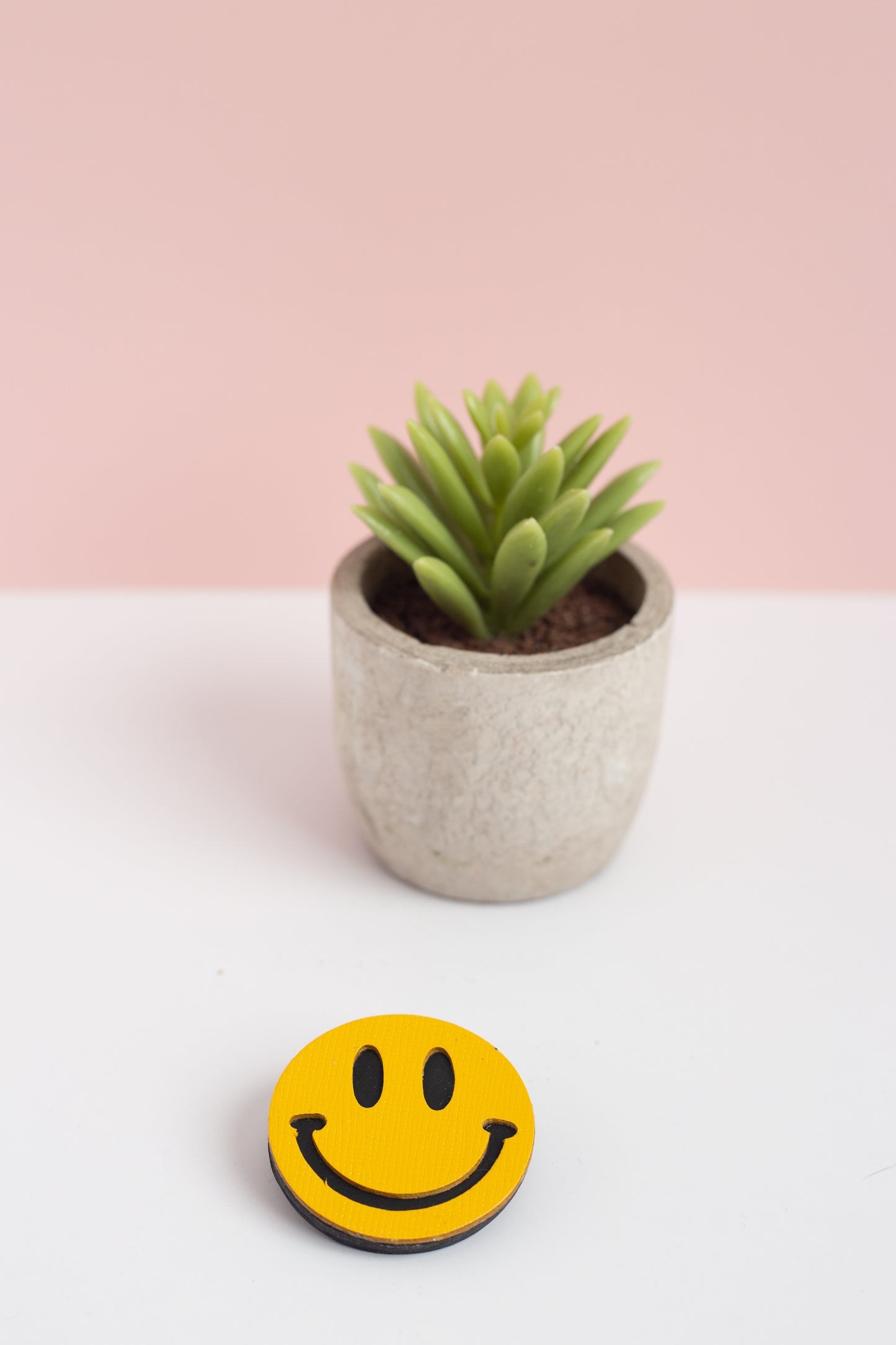 Small potted plant on a white surface with a yellow smiley face object in front