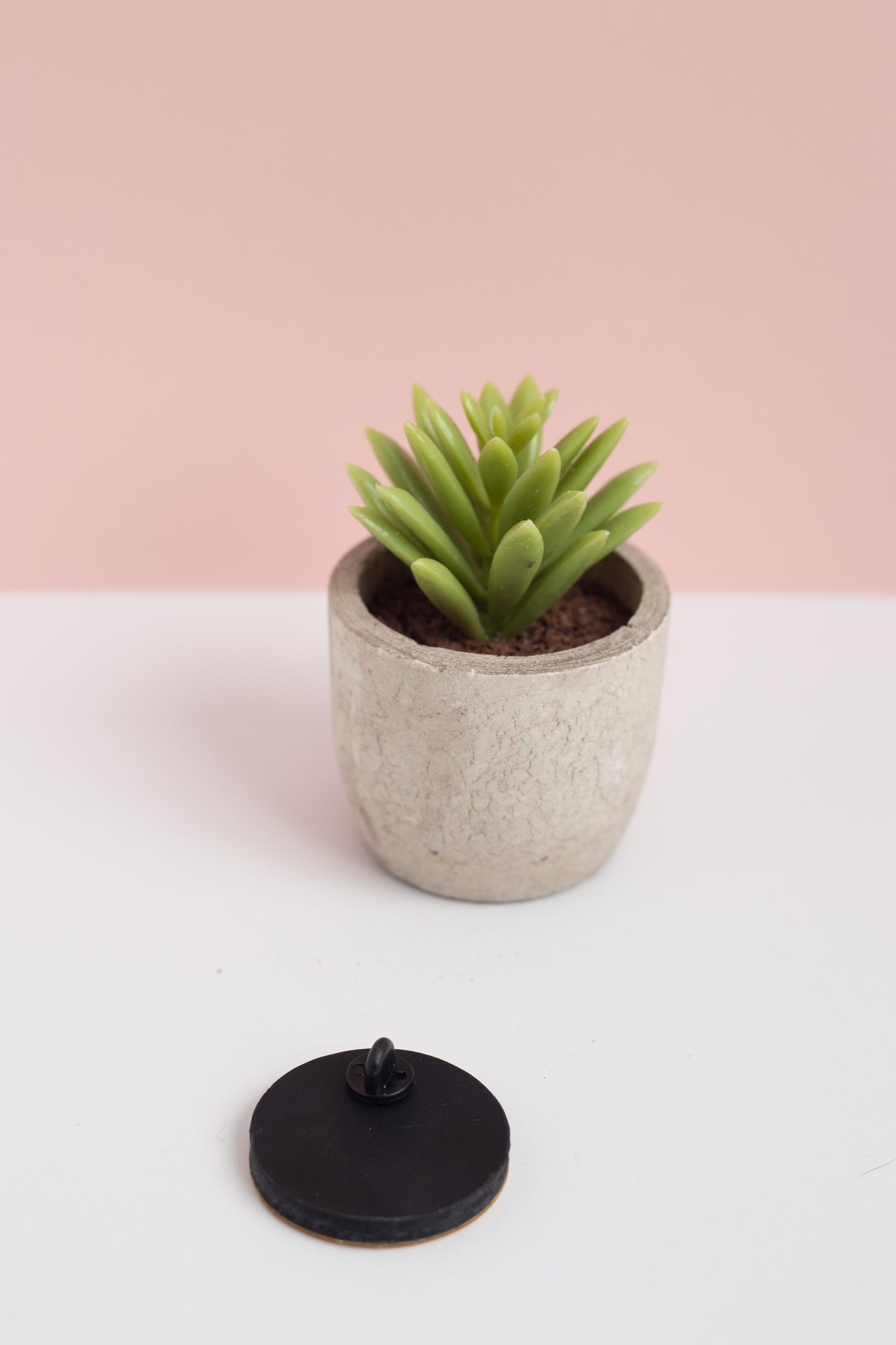 Small potted plant on a white surface with a pink background showing the back of the smiley pin brooch