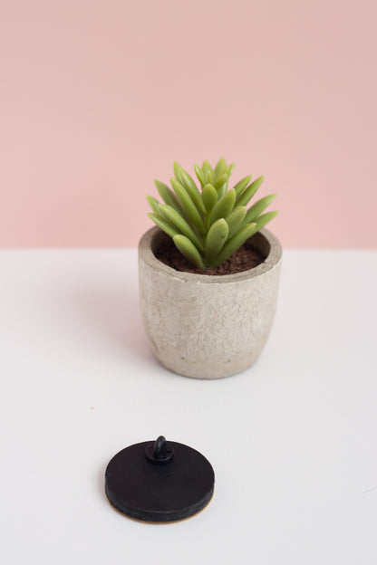 Small potted plant on a white surface with a pink background showing the back of the smiley pin brooch