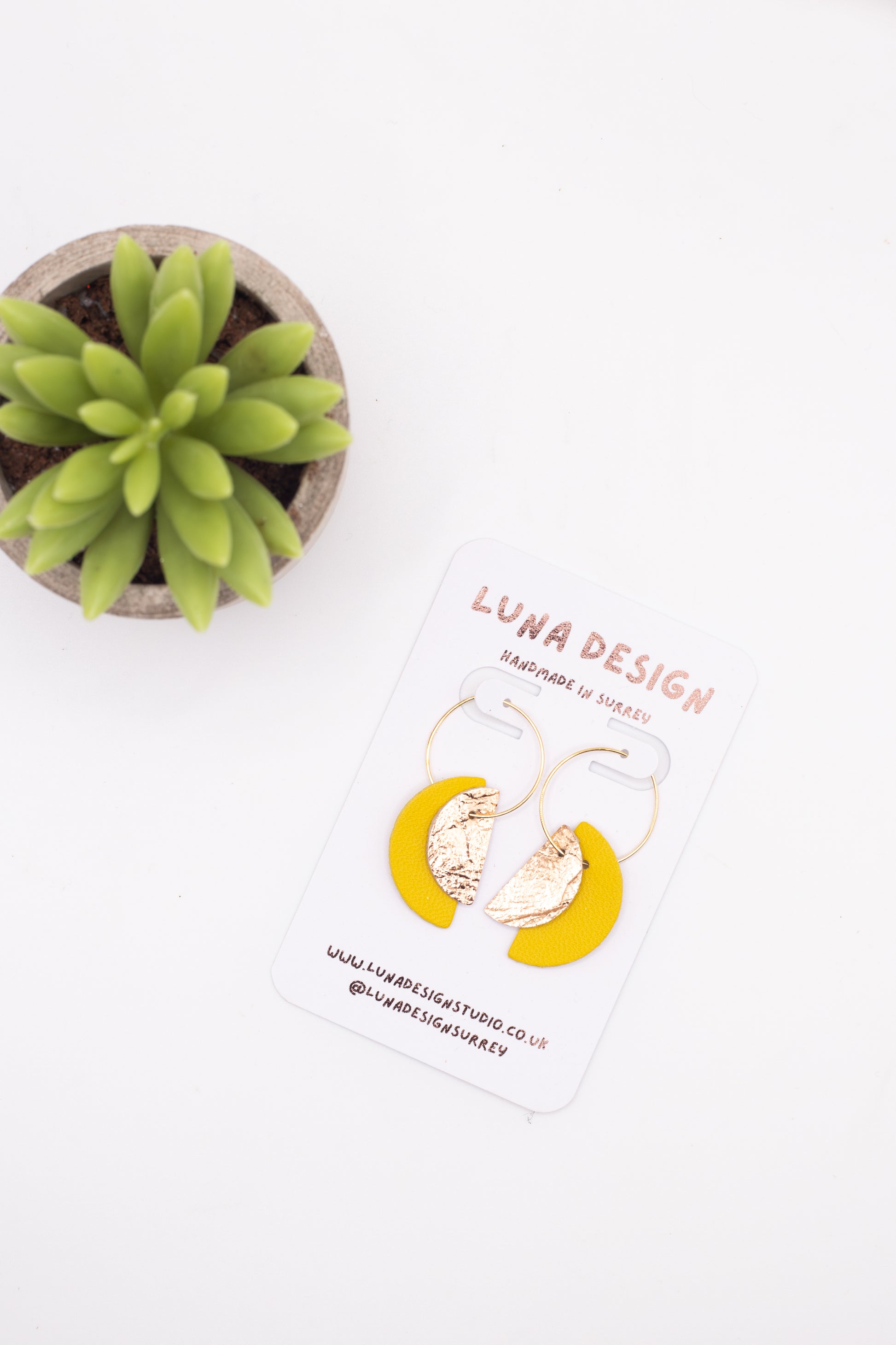 Earrings on a card with 'Luna Design' branding, next to a small plant on a white background