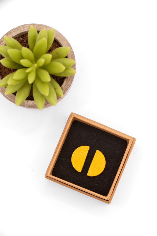 Yellow circular earrings in a wooden box with a succulent plant on a white background