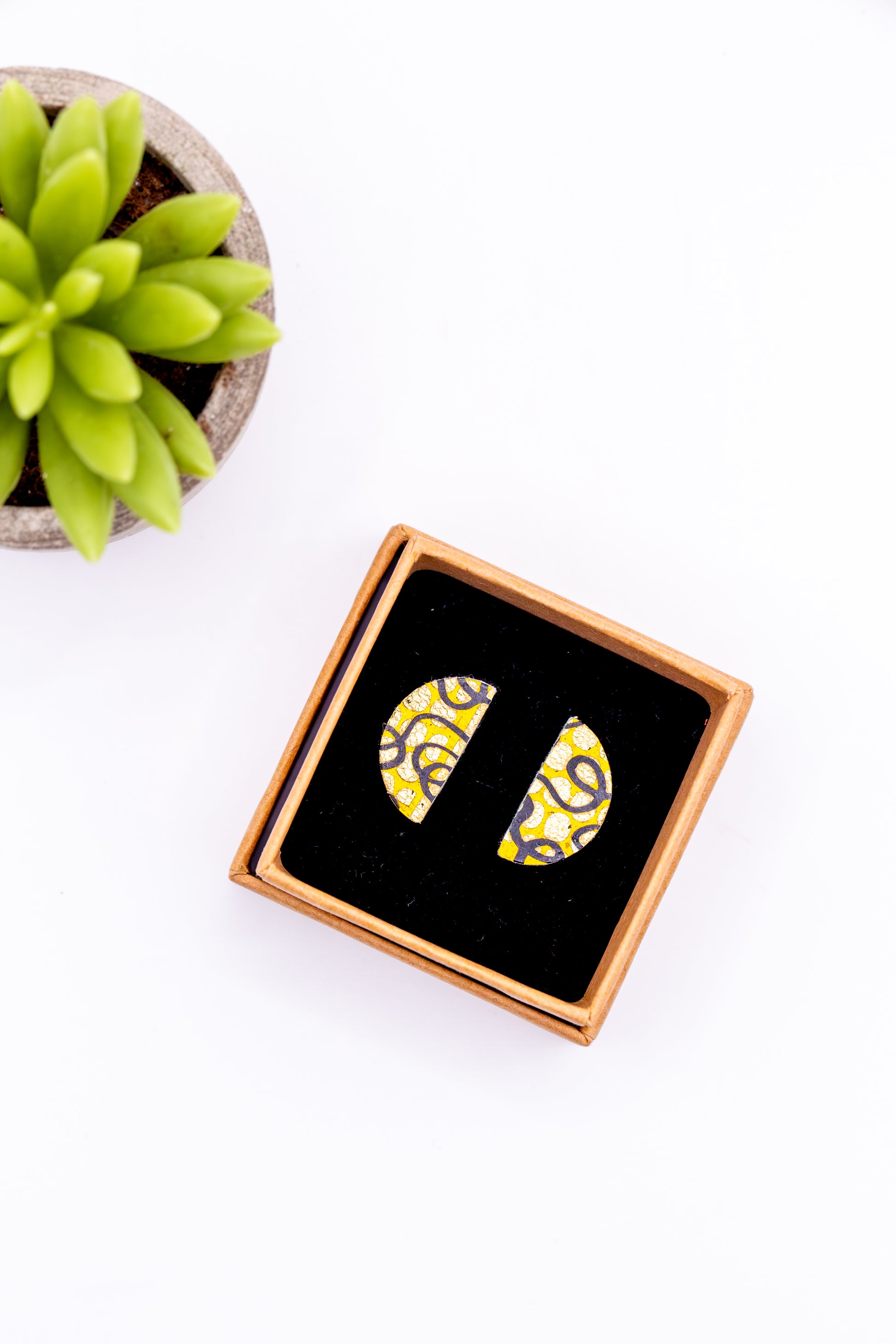 Pair of earrings in a box with a succulent plant in the background