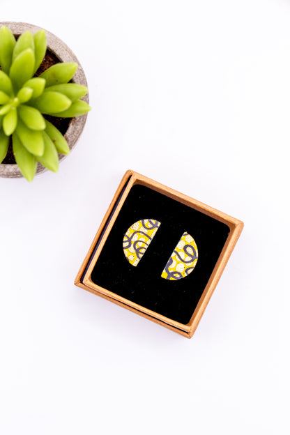 Pair of earrings in a box with a succulent plant in the background