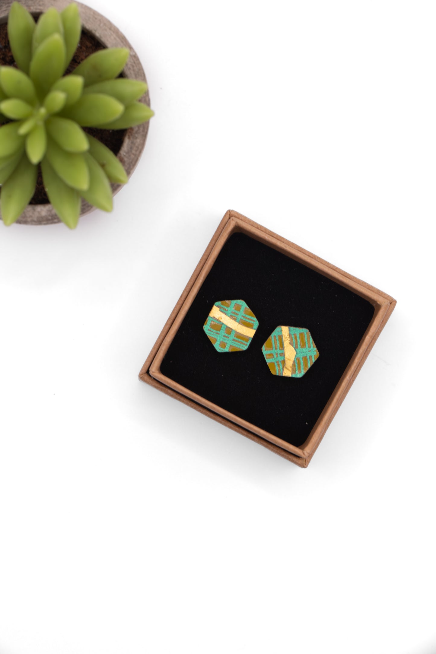 Hexagonal earrings in a wooden box with a succulent plant on a white background