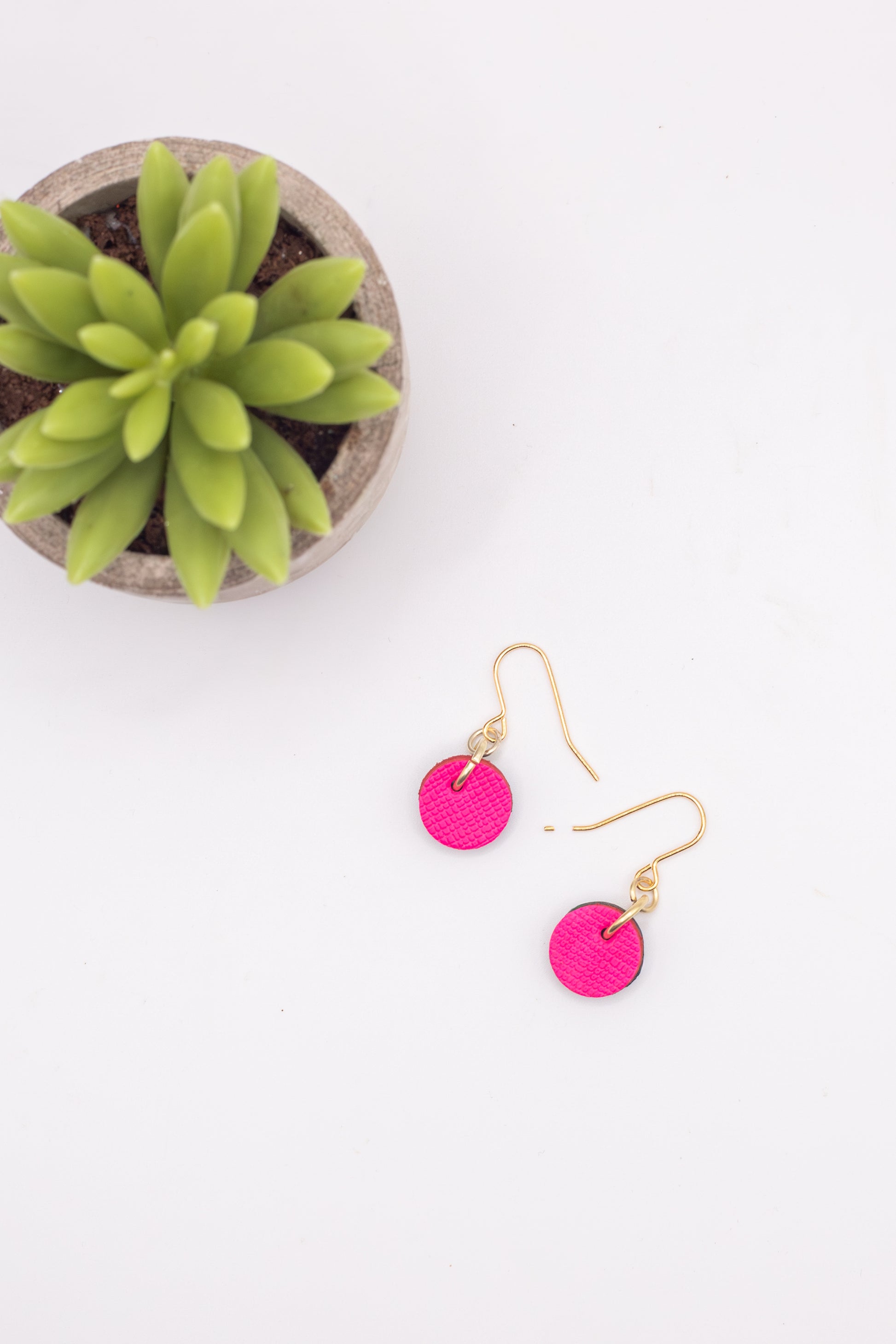 Pink earrings with gold hooks on a white background with a small potted plant.