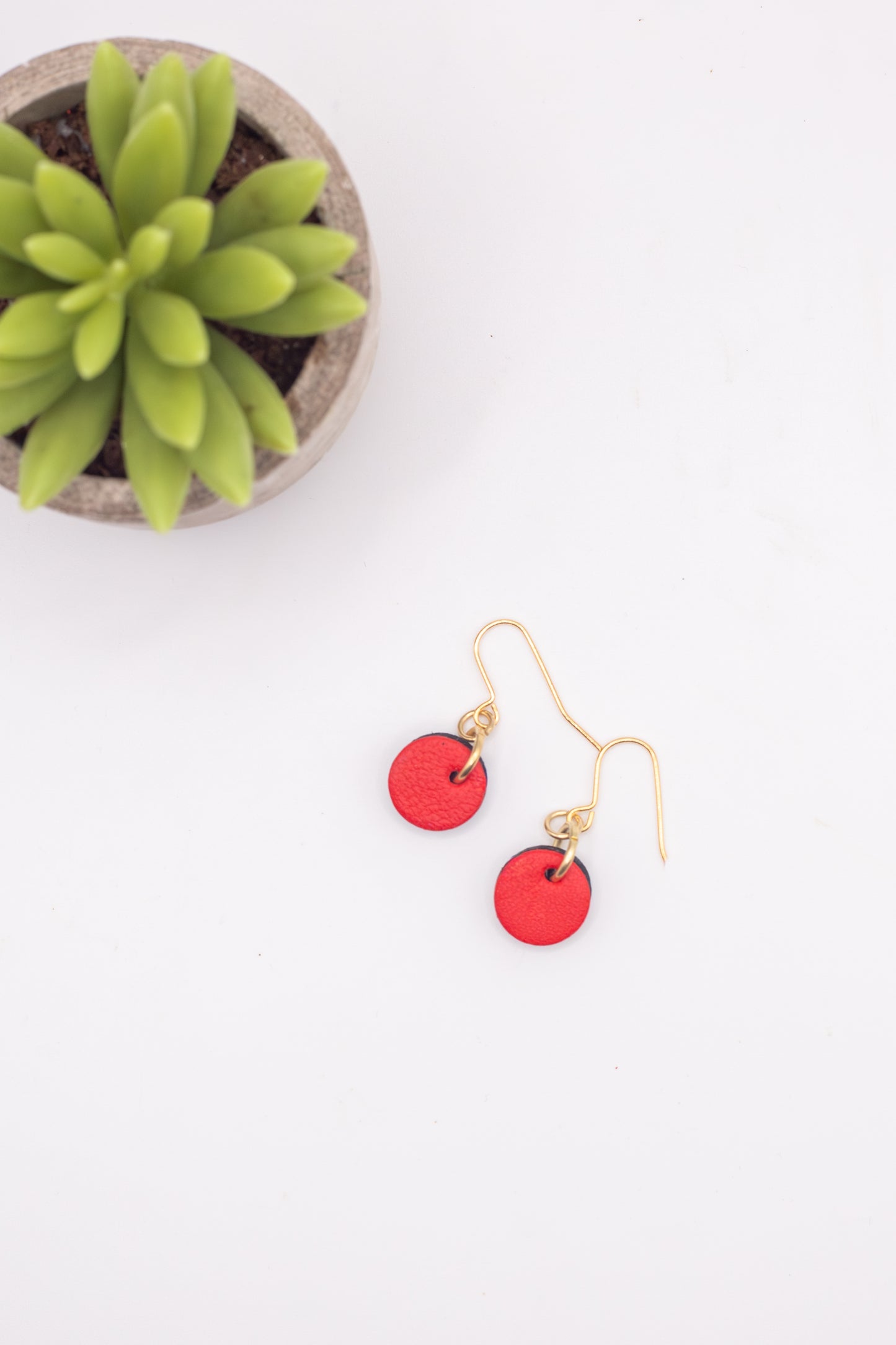 Red earrings on a white surface with a small plant in the background